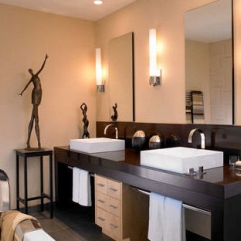 Bathroom Remodel ideas
