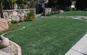 artificial grass, synthetic turf
