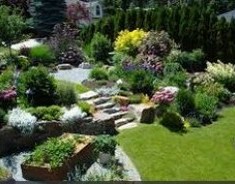 Design-build landscape ideas